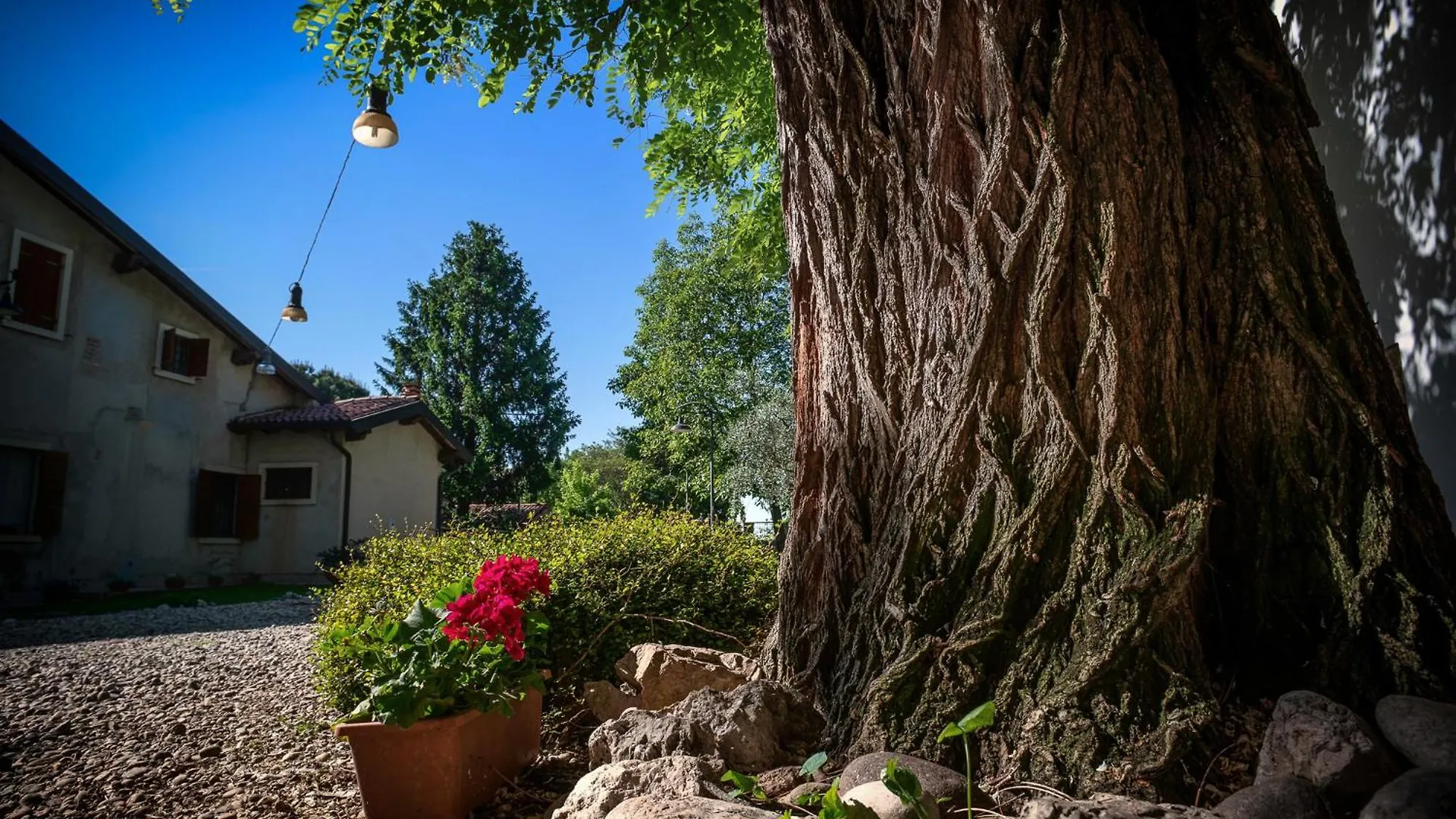 Fior Di Pesco Konuk evi Sommacampagna
